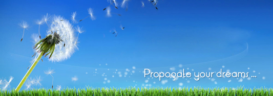 Prolanx