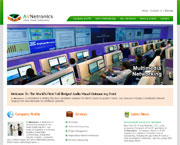 AVNetronics
